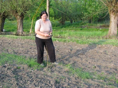 Milka Peulić
