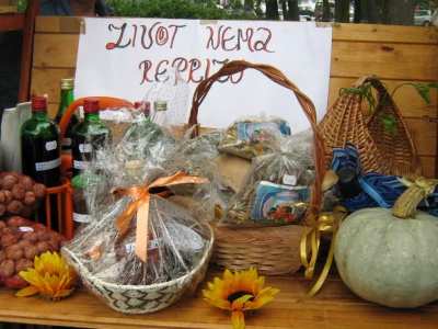 Zimnica gospođe Zijade Hasić