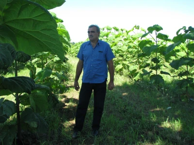 Branko Barač