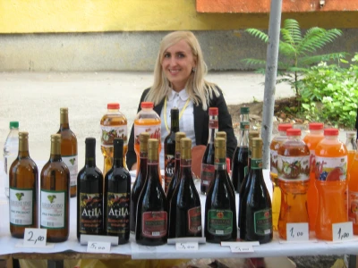9.Dani pčelarstva, voćarstva i našeg sela