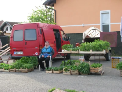 Kozić
