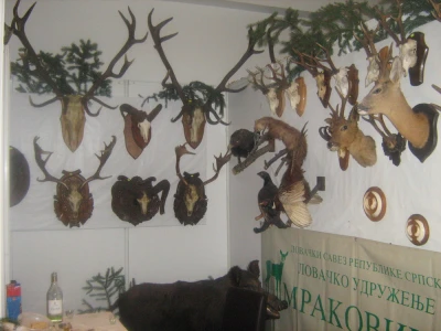 Lovački trofeji