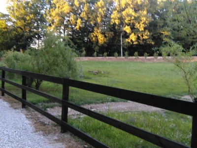 Brezička dolina