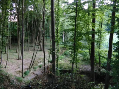 Brezička dolina