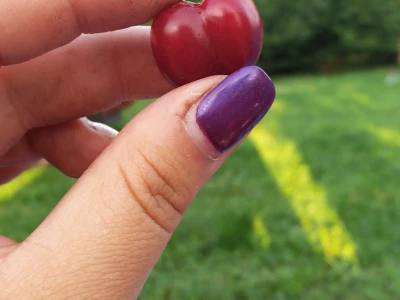 Đuro Pećanac bavi se preradom drenjine