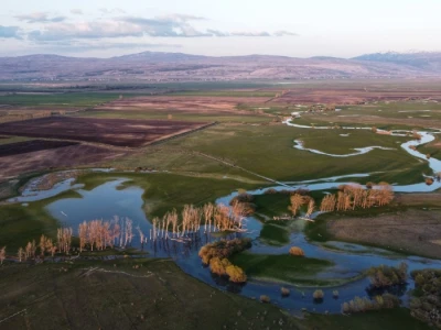 Farma koza Duvno