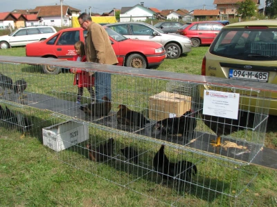 Kavezi sa živinom