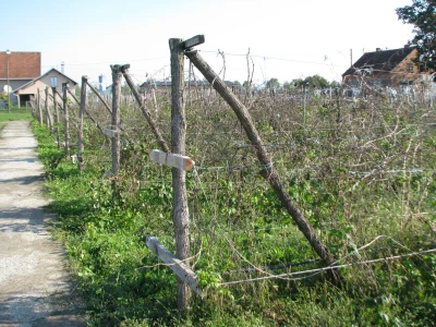 Malinjak