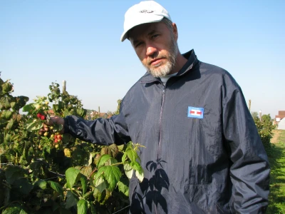 Muhamed-Alagić
