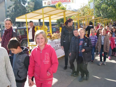 Pcelarstvo