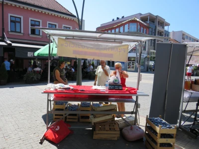 Manifestacija "Plodovi ljeta 2022" u Prijedoru