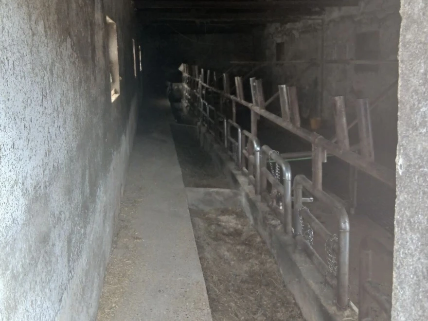 &Scaron;tala ostala pusta
