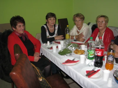 Aktiv zena Kocicevo