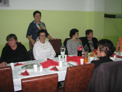 Aktiv zena Kocicevo