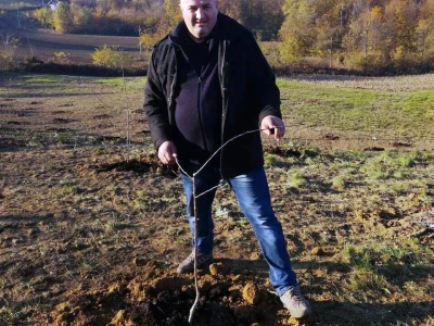 Aleksandar-Sljivar