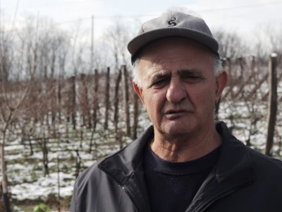 Bogoljub-Popovic