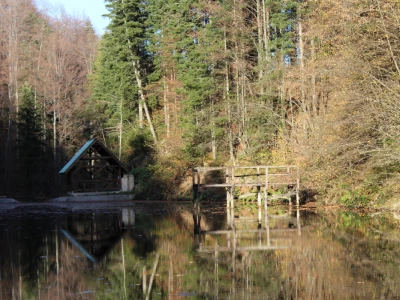 Magaraca ima puno više u Bosni, nego u Hercegovini