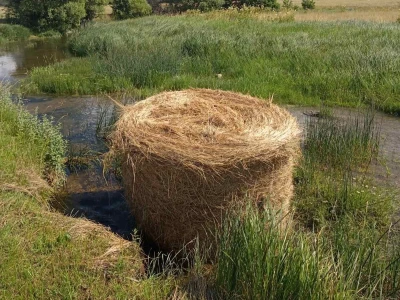 Derventsko veče rakije