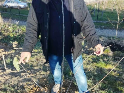 Aleksandar-Sljivar