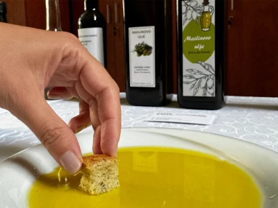 Hercegovačko maslinovo ulje postaje zaštićen brend