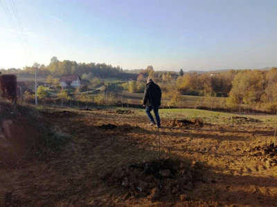 Aleksandar-Sljivar