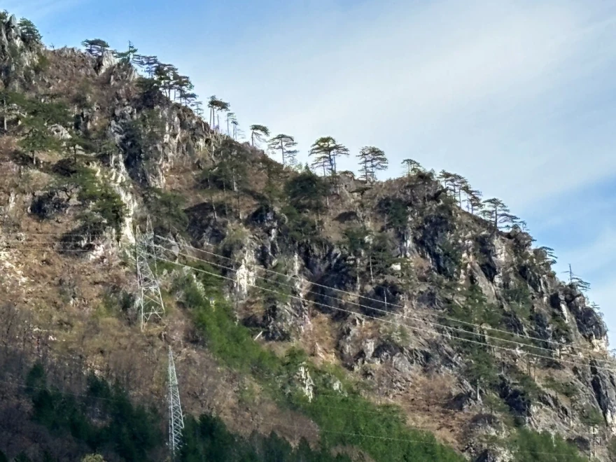 &scaron;uma iznad Boračkog jezera