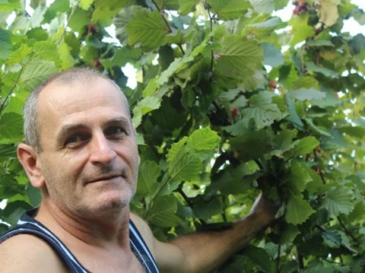 alija mešičić