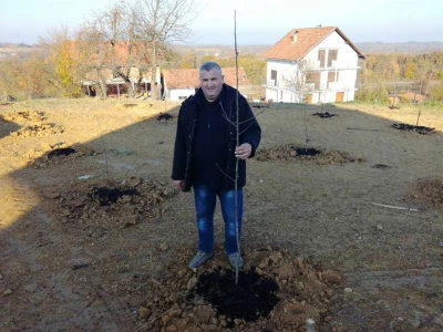 Aleksandar-Sljivar