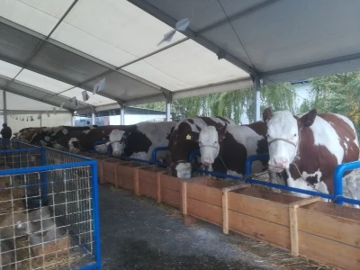 Sajam Interagro 2021.