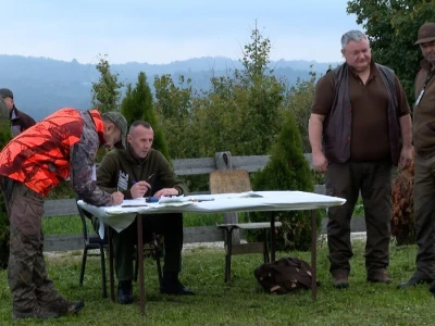 Ispitivanje urođenih osobina pasa glasnog gona na divlju svinju
