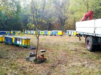 Ivica Ikić_ Nastavlja tradiciju svog oca dugu 38 godina
