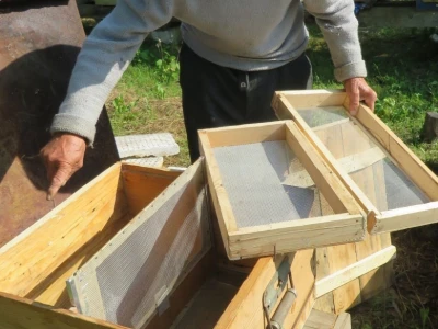 Ivo Banovčić