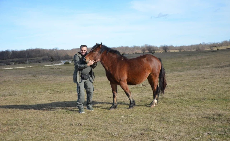 Željko sa konjem