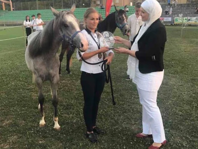 Prva izložba čistokrvih arapskih konja u BiH