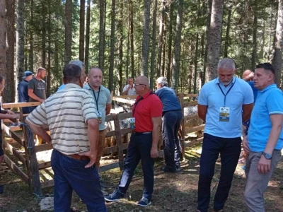 Izložba muznih krava, ovce pramenke i sajma travničkog (vlašićkog) sira