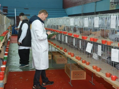 Izložba sitnih životinja u Prijedoru