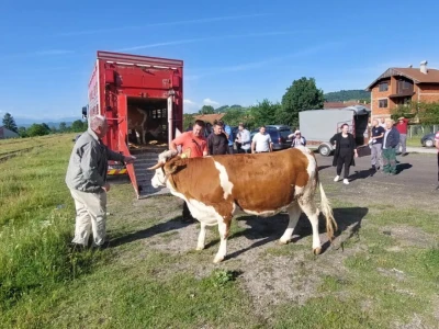 Jačanje stočnog fonda na području Općine Breza