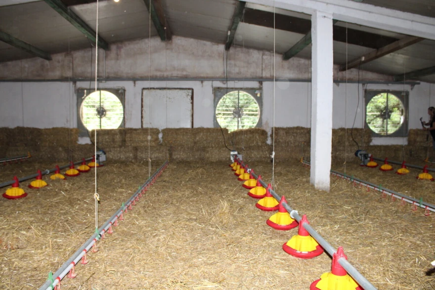 ventilatori u dnu farme