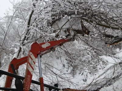 Kako je traktorista Ibro postao najpoželjniji komšija