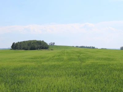 Kanada, velika zemlja rastućeg agrara