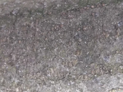 Kape na stablu Greni Smita