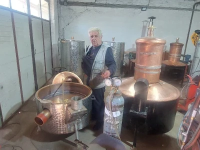 Kazandžija Boško Despotović