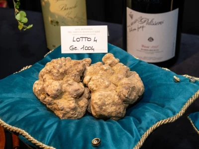 Kilogram bijelog tartufa prodan za 130.000 eura