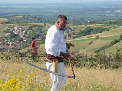 Ko je lugar Mirko Kecman?