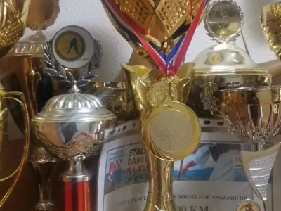 Ko je lugar Mirko Kecman?