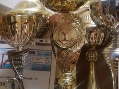 Ko je lugar Mirko Kecman?
