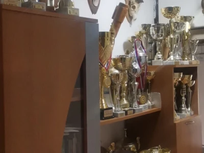 Ko je lugar Mirko Kecman?