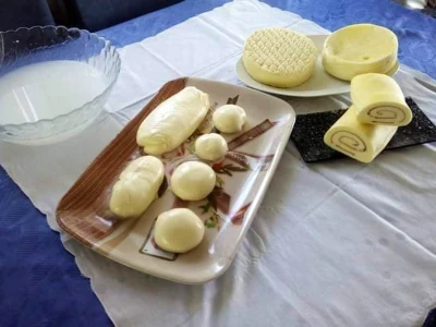 Ko je probao mozzarellu iz Busovače više ne vjeruje talijanskom siru