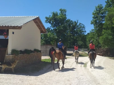 Konjički klub "Stina" vode tri sestre
