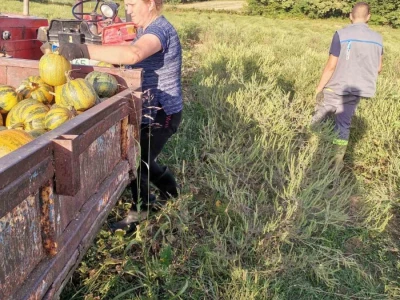 Konzumirajte zdravu hranu, poznatog sastava i porijekla